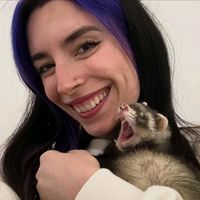 renlvslyniel