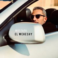 mostafaelwahishy