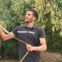 الصوت الأصلي