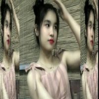 mai.p.z