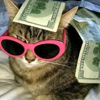 original sound - finne_2009_look