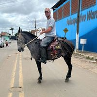 paulovaqueiro213