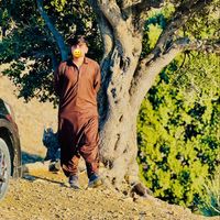 azizsarwari