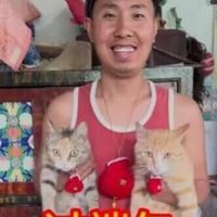 nhạc nền - tieubanhbao50