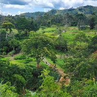 onelove129811190126