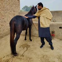mohsinsalamkhanrath