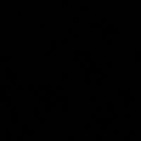 alooshe_1