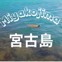 オリジナル楽曲 - みやこの海