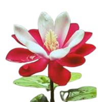 မူရင်းအသံ - ဒေါ်ဧသန