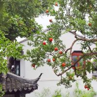 nhạc nền - Tiểu Hồ Yêu