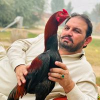 kaleem.ullah.khan500