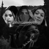 ruelssidehoes