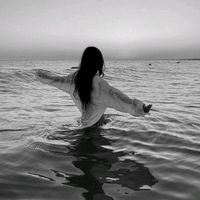 vestybx