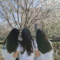 suara asli - alletha ᥫ᭡