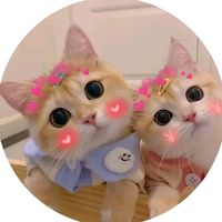honeyorbaby1