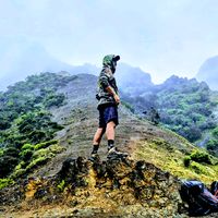 gino_wild