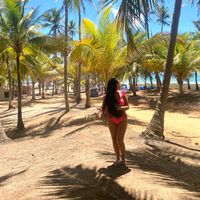 flay_queiroz