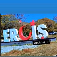 pelin_42_65