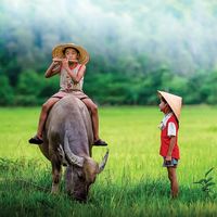 nhạc nền - Dân ca & Nhạc cổ truyền 🎶