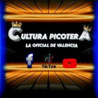 cultura_picotera_niche