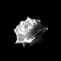 fsrdms