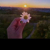 mayzinoo2255