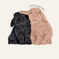 buddy_is_bunny