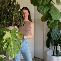 passthatplant