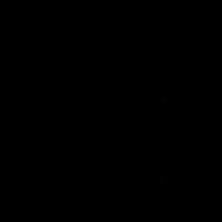 suara asli