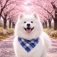 spinner_games