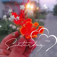 lyassenewarni
