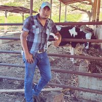 noel.jimenez01