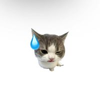 namenoey_2806