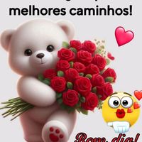 reinaldo.cerqueir7