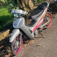 razzwave100