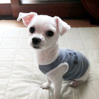madgiy88