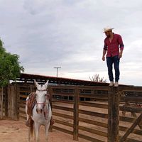 lucianosilva5796