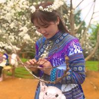 nhạc nền - soạn cl v jkhfcjkwkqkâbbbsjek?