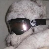 diemonni кроличий костюм