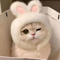 เสียงต้นฉบับ - น้องสายรุ้ง🎂🍭