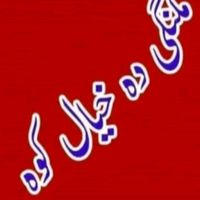 zafarnawaz70