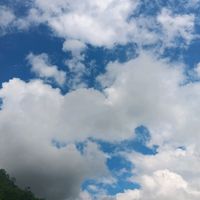 nhạc nền - Linh 🍇 anh