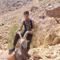 hassan_arasshih
