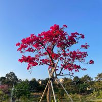 kienphi_1011
