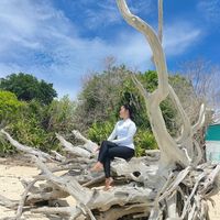 suara asli - juju ❤️