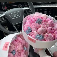 ejesha.pppp