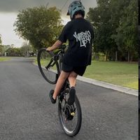 harp_69