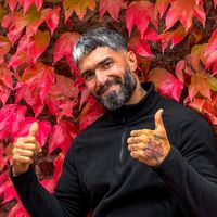 الصوت الأصلي