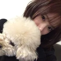 original sound - sz2wm