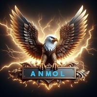 anmolbhullar113